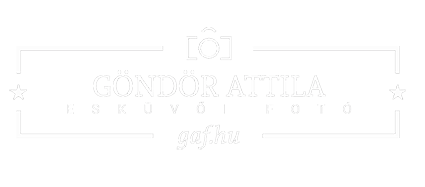light logo